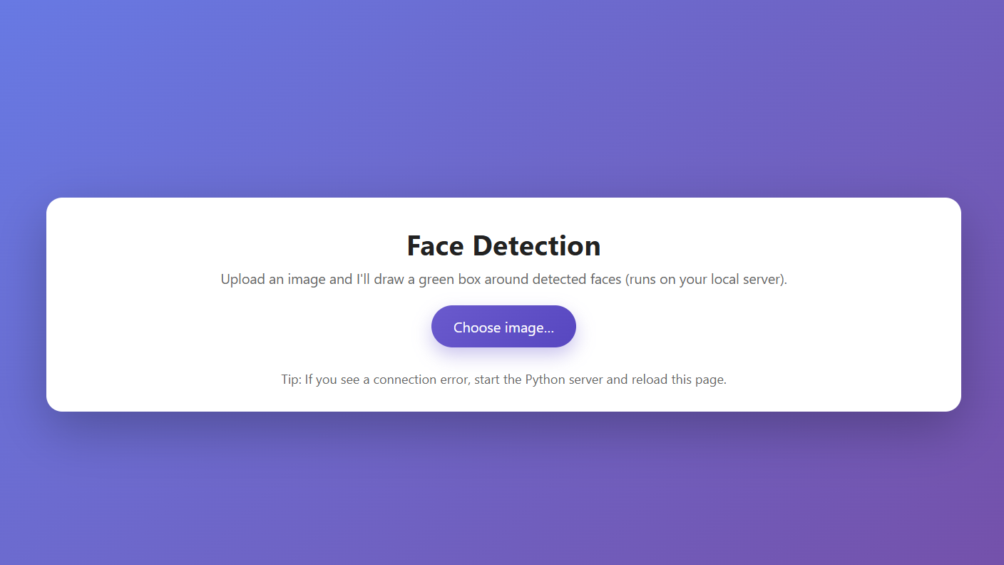 Professional Website